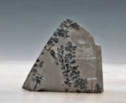 A photo of Soapstone Owl #28F by Clarence Cameron